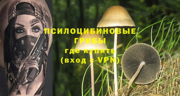 PSILOCYBIN Белокуриха